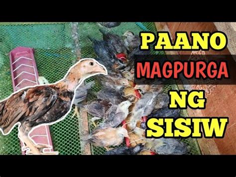 LINYADA NG MAMAY .